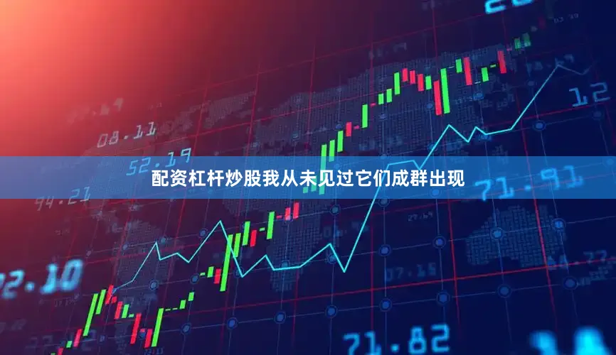 配资杠杆炒股我从未见过它们成群出现