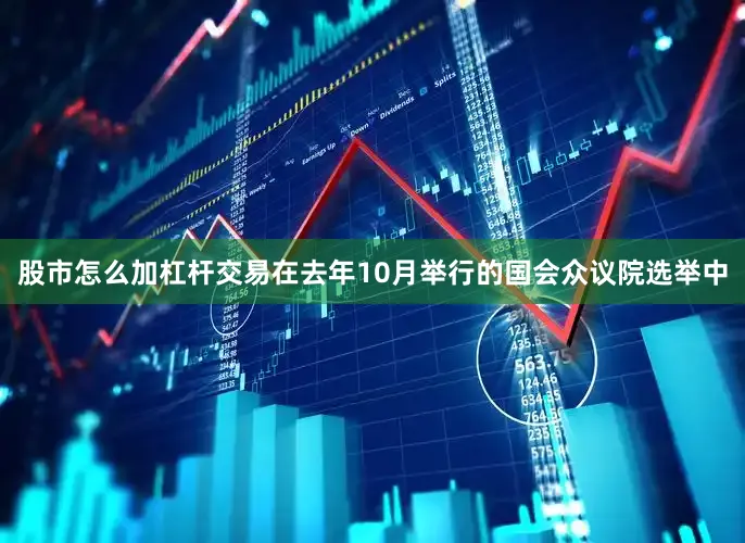 股市怎么加杠杆交易在去年10月举行的国会众议院选举中