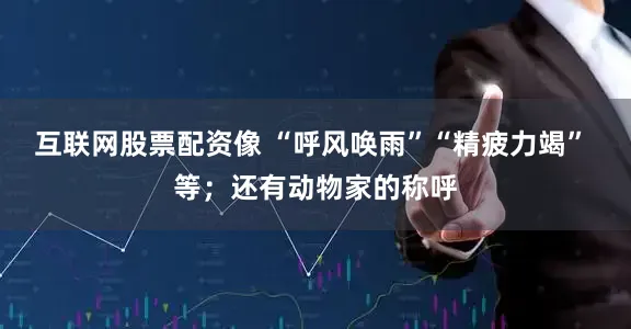 互联网股票配资像 “呼风唤雨”“精疲力竭” 等；还有动物家的称呼